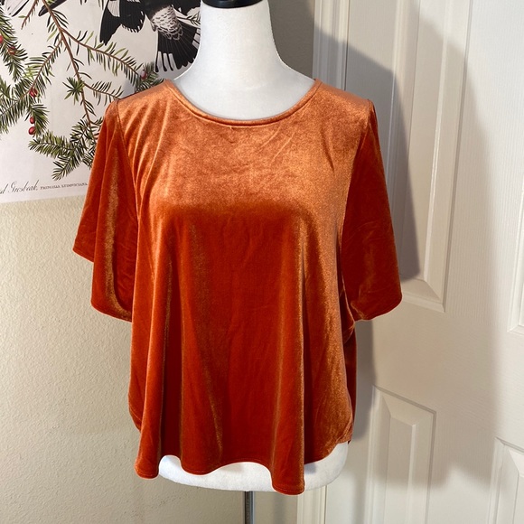 Madewell Tops - Madewell Burnt Orange Velvet Butterfly Sleeve Top size XL